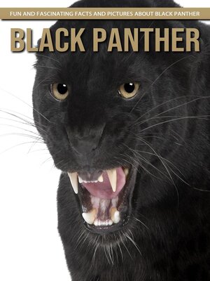 cover image of Black Panther--Fun and Fascinating Facts and Pictures About Black Panther
